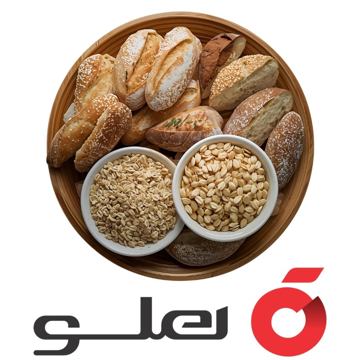 نرم افزار حسابداری نان و فرآورده های غلات هلو APEX